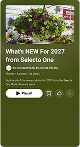 Playlist to Selecta One YouTube channel