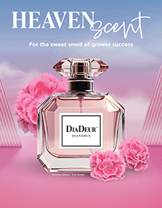 Print ad of perfume bottle with Pink Shades dianthus