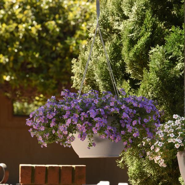 Big Falls™ Dark Blue Basket