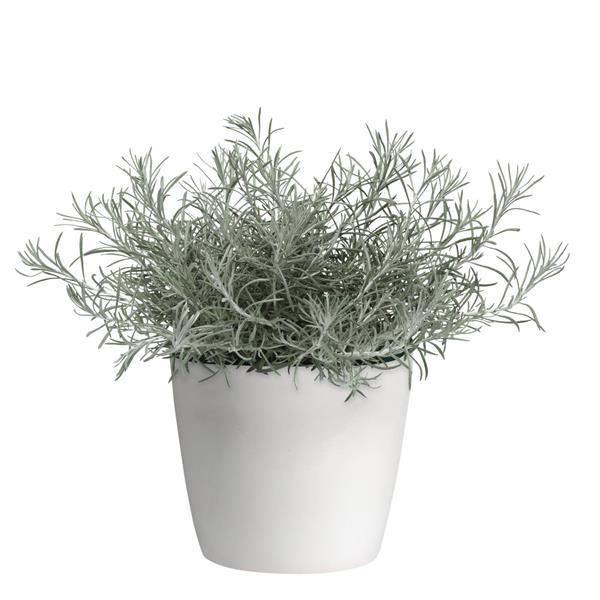 Silver Threads Container