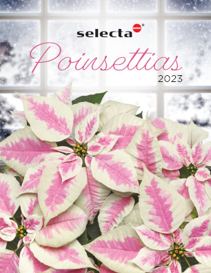 Catalogs