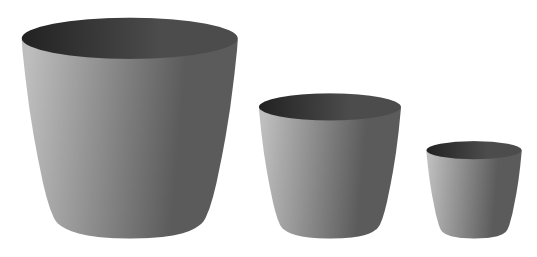 Dianthus pot size graphic