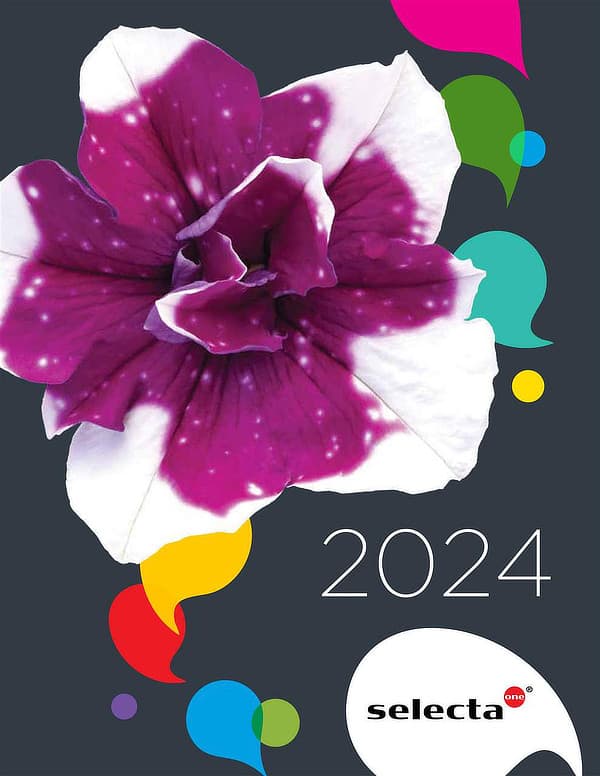 Selecta 2024 catalog